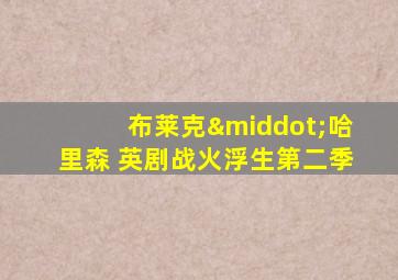 布莱克·哈里森 英剧战火浮生第二季